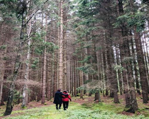 bild mindfulness i narurenred Mindfulness i naturen
